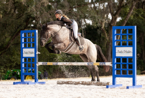 HorseID: 2280905 Bluebell - PhotoID: 1055693