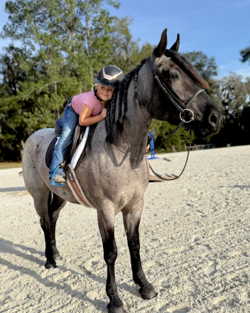 HorseID: 2280905 Bluebell - PhotoID: 1055695