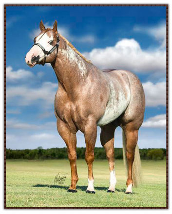 HorseID: 2285533 INTENSIONS - PhotoID: 1068270