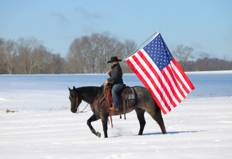 HorseID: 2287438 Rowdy - PhotoID: 1064617