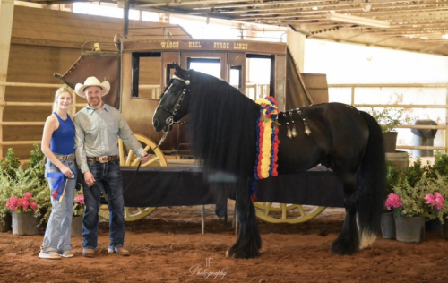 HorseID: 2287530 RNG Kate's George Strait - PhotoID: 1092771