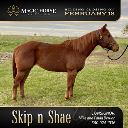 HorseID: 2287656 Skip n Shae - PhotoID: 1064903