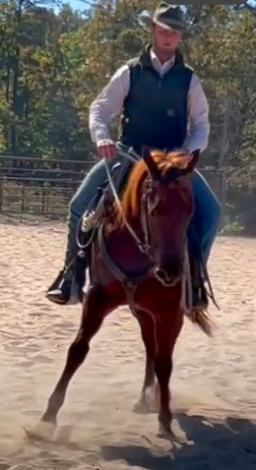 HorseID: 2287656 Skip n Shae - PhotoID: 1064906