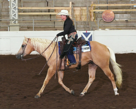 HorseID: 2292181 Mr Be Sumthin Sexy - PhotoID: 1082315