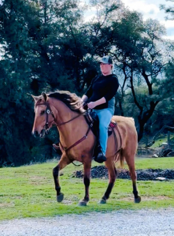 HorseID: 2295171 Silverado's Sweet Rose - PhotoID: 1093386