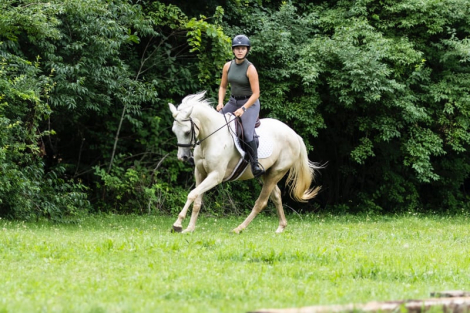 HorseID: 2299416 TicTac - PhotoID: 1093775