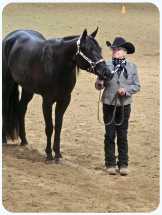 HorseID: 2299640 Ima Spotless Hunter - PhotoID: 1080915