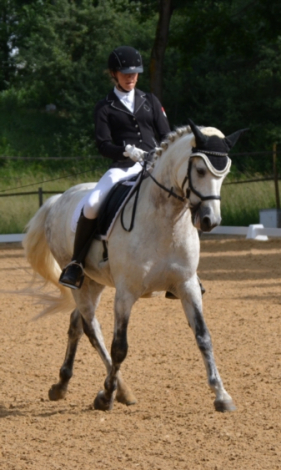 HorseID: 2299989 Eydis - PhotoID: 1092804