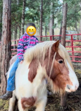 HorseID: 2300355 PF Second Down - PhotoID: 1093865