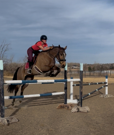 HorseID: 2300933 Moneypenny - PhotoID: 1082606