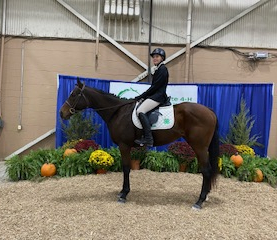 HorseID: 2302090 Grand Spun - PhotoID: 1093419