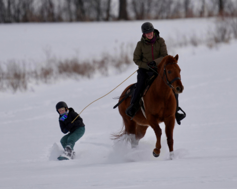 HorseID: 2304237 Tic Toc - PhotoID: 1087155