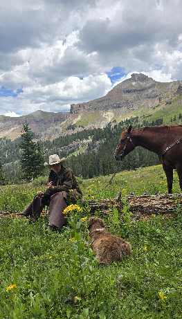 HorseID: 2305211 Steady Quixote - PhotoID: 1090270