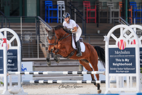 HorseID: 2305937 Caracal - PhotoID: 1089501