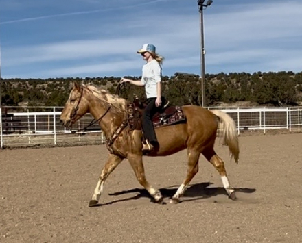 HorseID: 2306825 Journey - PhotoID: 1090588