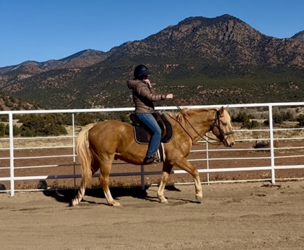 HorseID: 2306825 Journey - PhotoID: 1090591