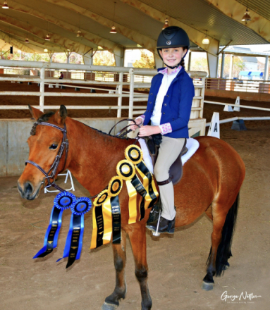 HorseID: 2308009 Dizzy Izzy - PhotoID: 1092869