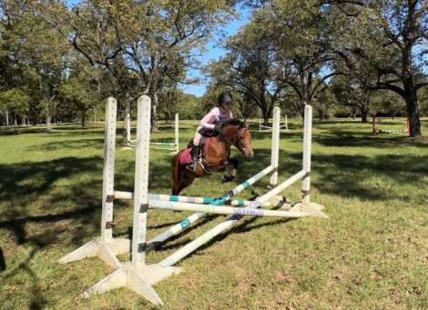 HorseID: 2308009 Dizzy Izzy - PhotoID: 1092870