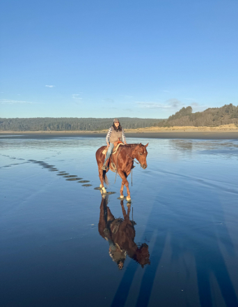 HorseID: 2308150 Bodie - PhotoID: 1092791