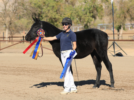 HorseID: 2308414 Giana - PhotoID: 1093160