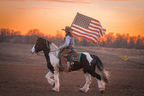 HorseID: 2308530 Metallica - PhotoID: 1092694