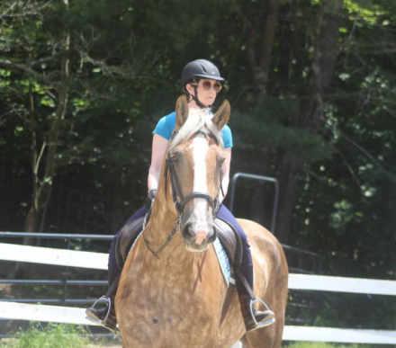 HorseID: 2308558 Duncan - PhotoID: 1092723