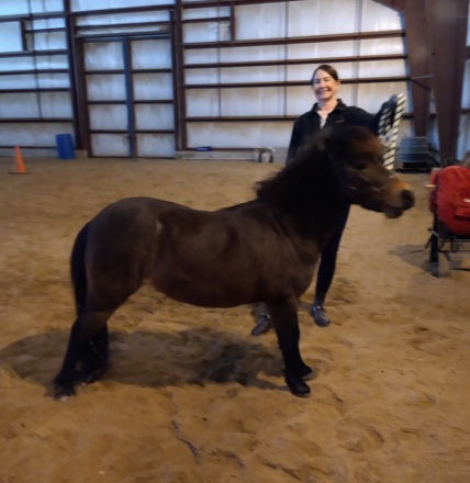 HorseID: 2308558 Duncan - PhotoID: 1092727