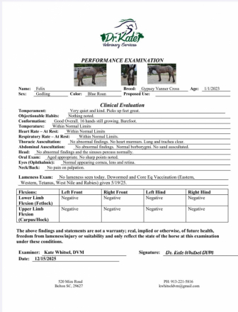 HorseID: 2308563 Felix Fox Hunted Gun Safe Lots of videos Vetted - PhotoID: 1092731