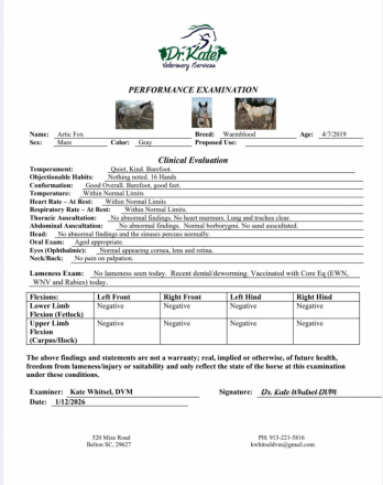 HorseID: 2308569 Artic Fox.  Lots of video and vet check available - PhotoID: 1092741