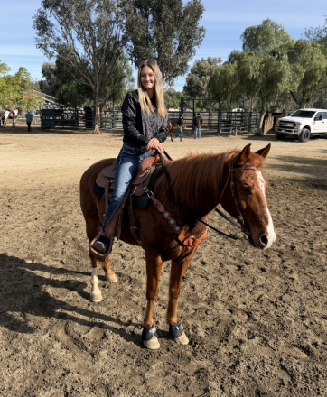 HorseID: 2308570 Red - PhotoID: 1092753