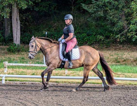 HorseID: 2308571 Solid Oak - PhotoID: 1093299