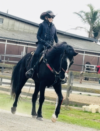 HorseID: 2308572 Tiny Tim - PhotoID: 1092764