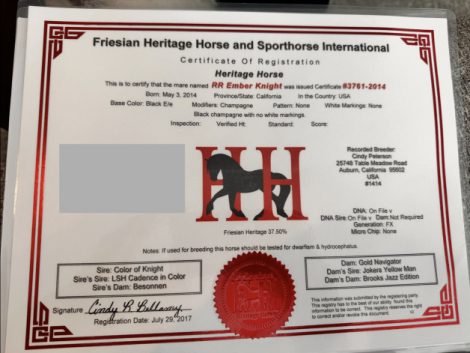 HorseID: 2308576 RR EMBER KNIGHT - PhotoID: 1092770