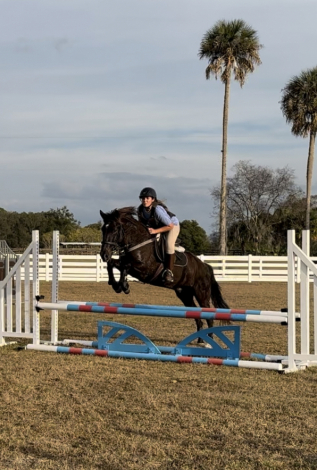 HorseID: 2308590 Clark - PhotoID: 1093046