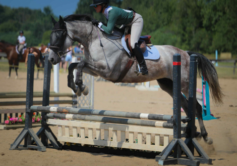 HorseID: 2308594 Magnolia - PhotoID: 1092931