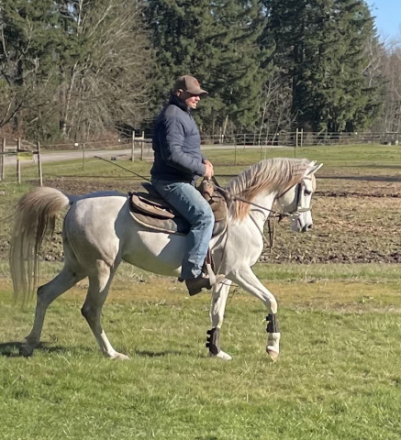 HorseID: 2308595 La Vie En Roze - PhotoID: 1092786