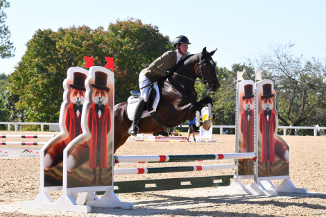 HorseID: 2308604 Ruh Roh - PhotoID: 1092801