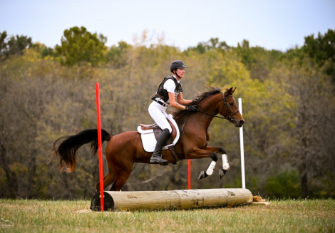 HorseID: 2308606 Jeffros Thumbelina - PhotoID: 1092805