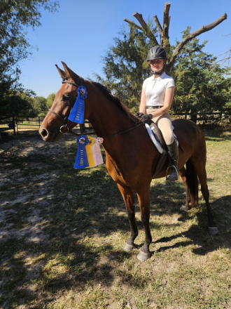 HorseID: 2308606 Jeffros Thumbelina - PhotoID: 1092807