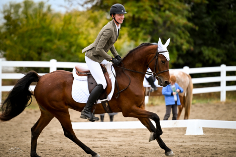 HorseID: 2308606 Jeffros Thumbelina - PhotoID: 1092808