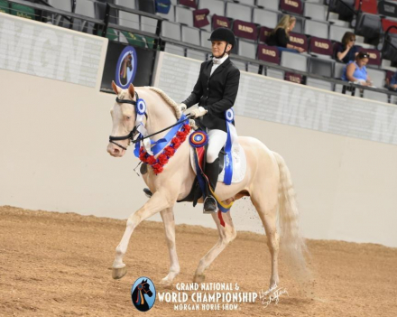 HorseID: 2308612 NSS Legendary - PhotoID: 1092813