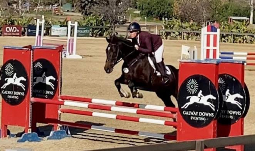 HorseID: 2308622 Quattro Di Tutto - PhotoID: 1092958