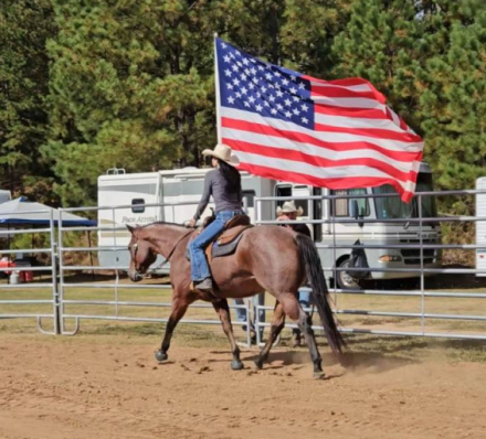 HorseID: 2308626 Bonita.  Registered. Handy. Broke. Safe. Sound. - PhotoID: 1092839