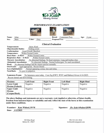 HorseID: 2308630 Julep Fox Hunted, Jumps, Trails, Obstacles w/ kids - PhotoID: 1092850