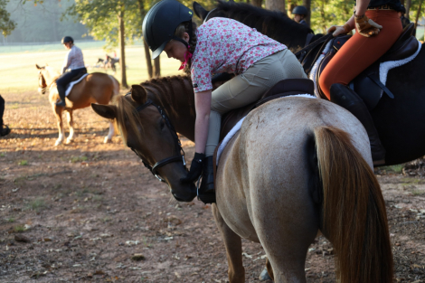 HorseID: 2308630 Bambi Fox Hunted, Jumps, Trails, Obstacles w/ kids - PhotoID: 1092846