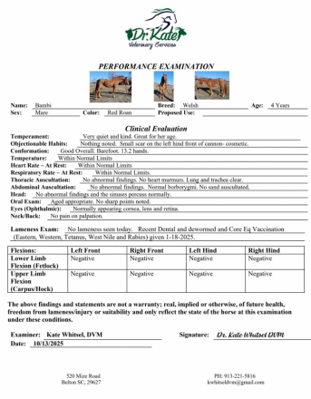 HorseID: 2308630 Bambi Fox Hunted, Jumps, Trails, Obstacles w/ kids - PhotoID: 1092848