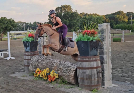 HorseID: 2308630 Bambi Fox Hunted, Jumps, Trails, Obstacles w/ kids - PhotoID: 1092850