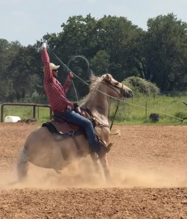 HorseID: 2308638 PEPONITAS TATER TOT - PhotoID: 1092876