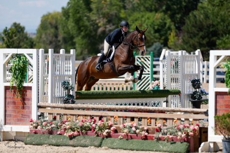 HorseID: 2308643 Julisimo - PhotoID: 1092892