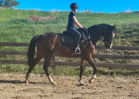 HorseID: 2308643 Julisimo - PhotoID: 1092894